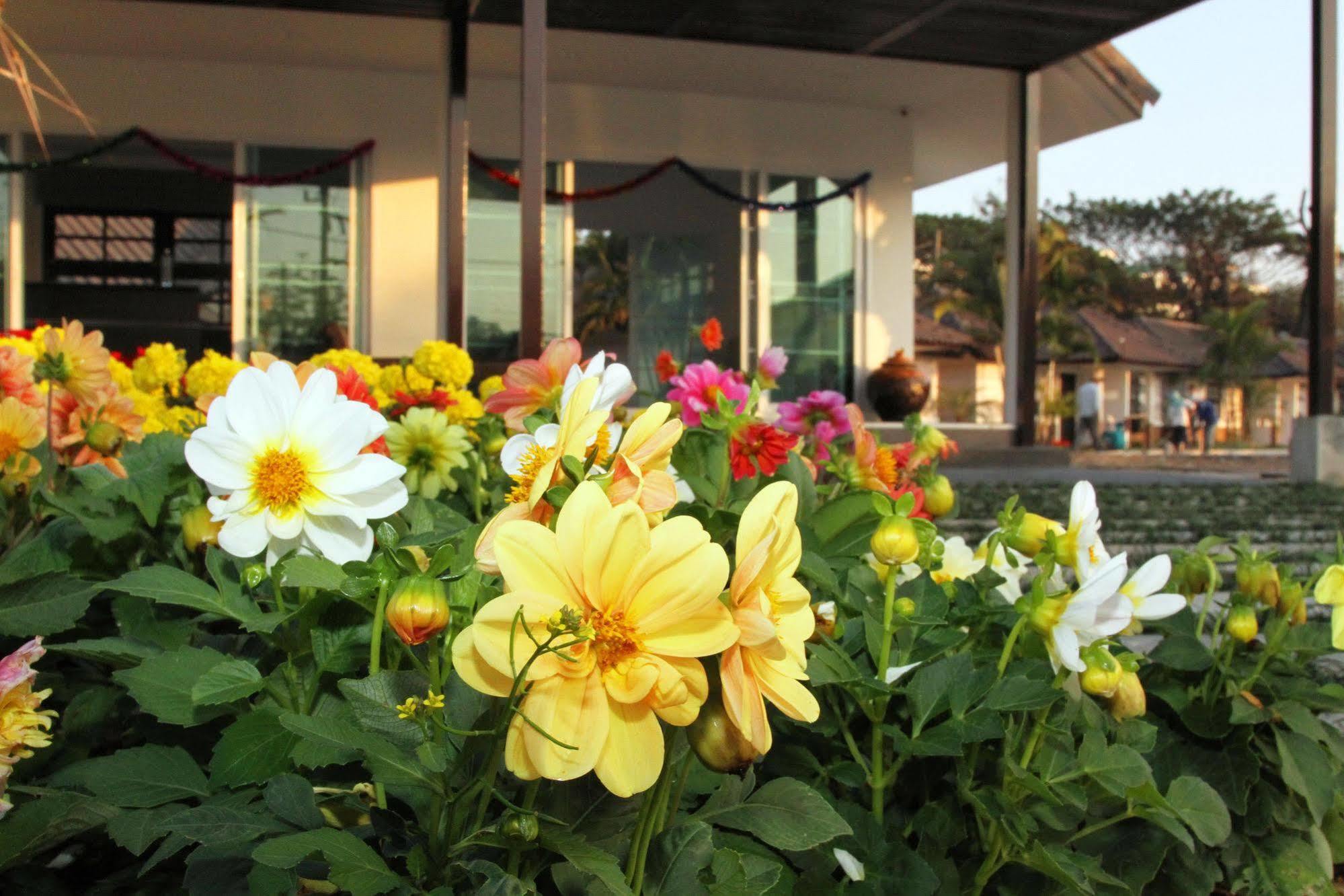 Chiangrai Green Park Resort Chiang Rai Ngoại thất bức ảnh